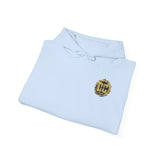 DC Customs Full Logo Unisex Heavy Blend™ Hooded Sweatshirt